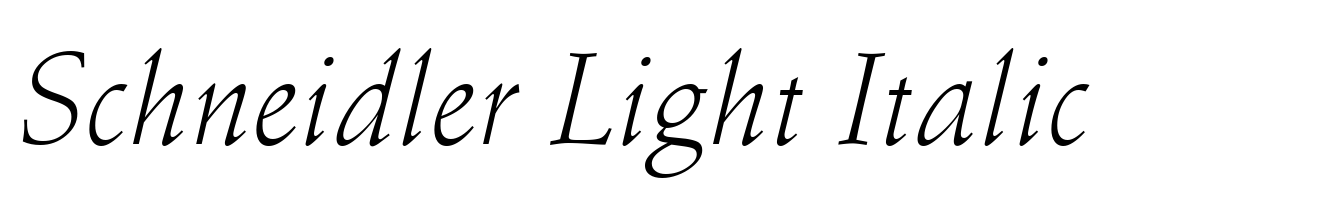 Schneidler Light Italic